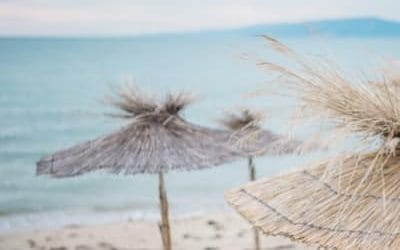 Legal Translation for Expats (Dubai & UAE)